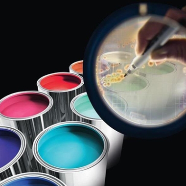 Sơn chống thấm hyosung cho mọi công trình