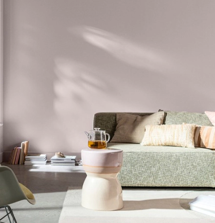 Lịch sử phát triển